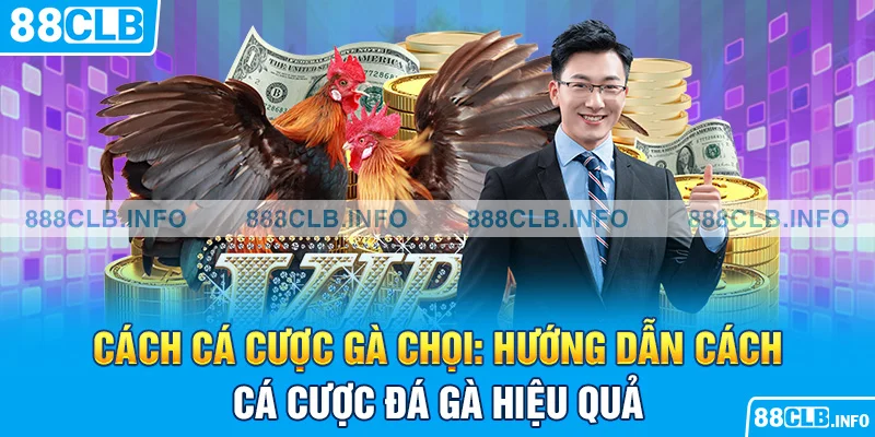 cách cá cược gà chọi