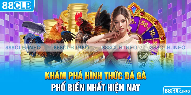 Khám phá  hình thức đá gà phổ biến nhất hiện nay