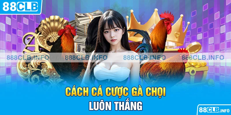 Cách cá cược gà chọi luôn thắng