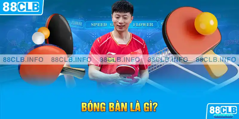 Bóng bàn là gì?