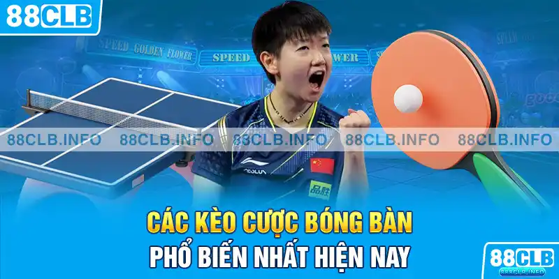 Các kèo cược bóng bàn phổ biến nhất hiện nay