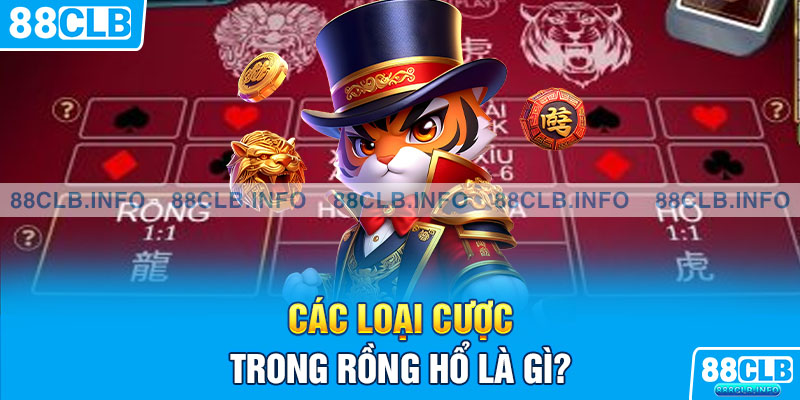 Các loại cược trong Rồng Hổ là gì?