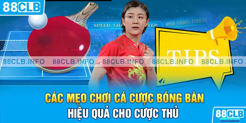 Các mẹo chơi cá cược bóng bàn hiệu quả cho cược thủ