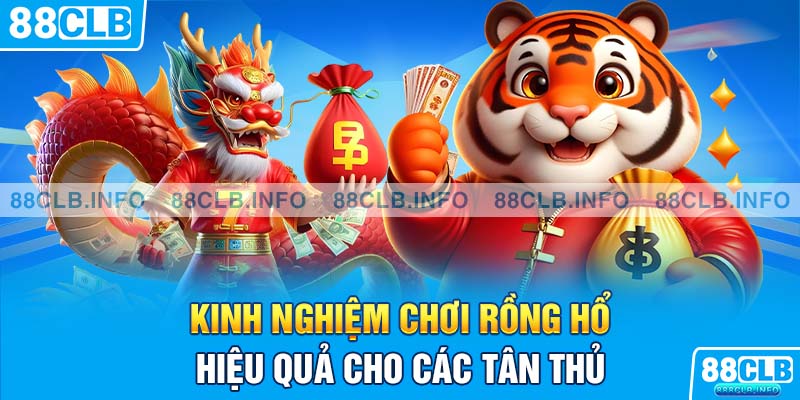 Kinh nghiệm chơi rồng hổ hiệu quả cho các tân thủ