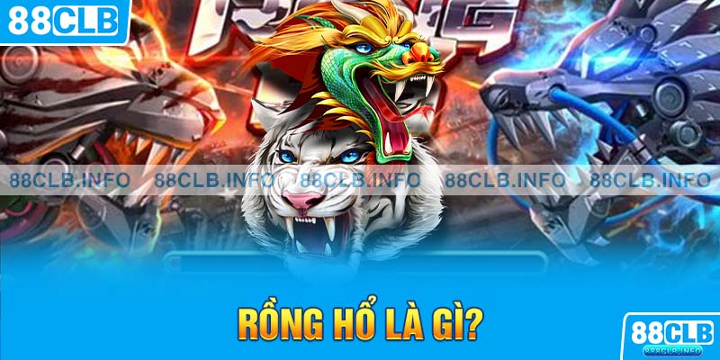 Rồng hổ là gì?