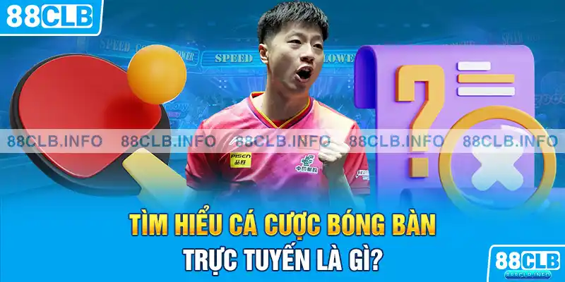 Tìm hiểu cá cược bóng bàn trực tuyến là gì?