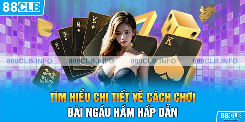 Tìm hiểu chi tiết về cách chơi bài ngầu hầm hấp dẫn